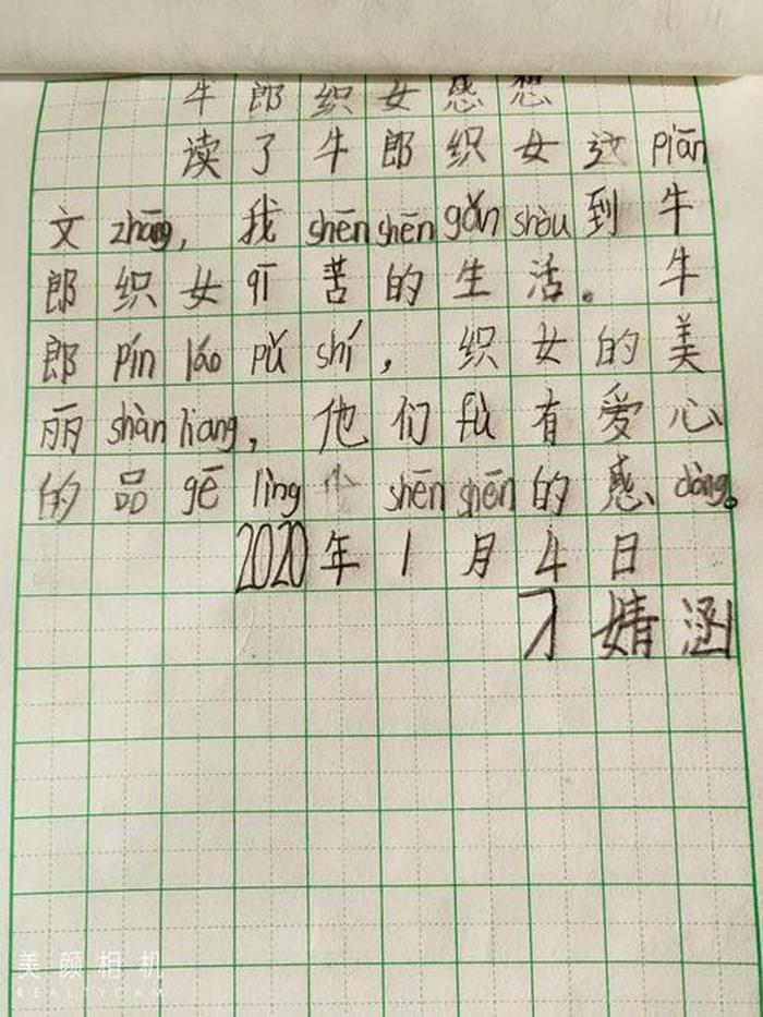 小兔子打针的故事读后感；机智的兔子读后感