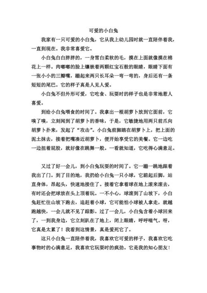 小朋友故事大全免费听小白兔；小白兔的作文