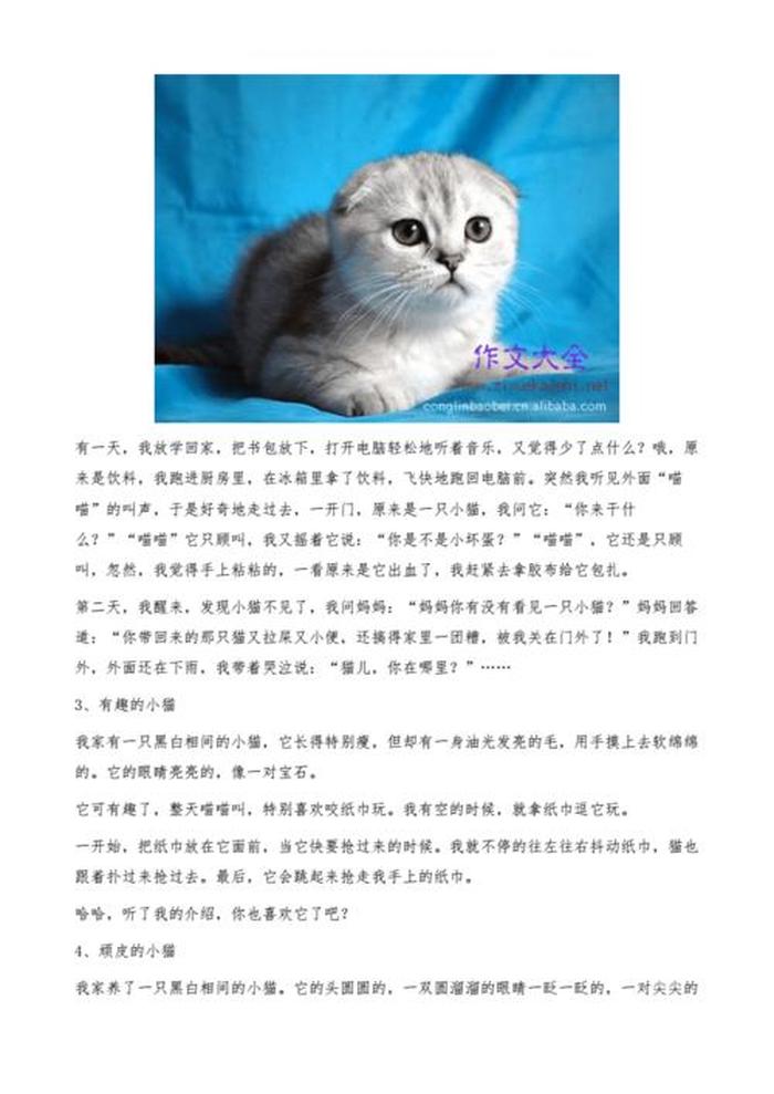 可爱治愈的睡前故事50字，可爱的小猫300字作文怎么写