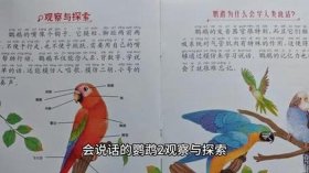 幼儿睡前故事0-3岁催眠直播 容易催眠的睡前故事宝宝