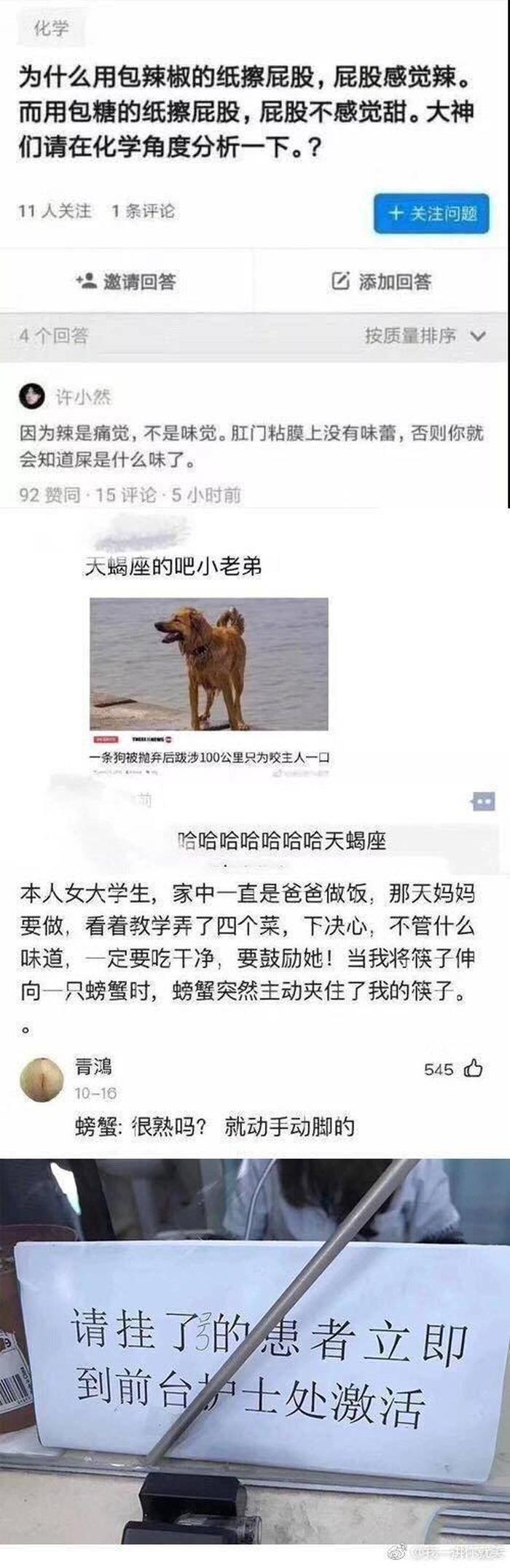 笑到窒息的沙雕故事男女主 - 沙雕短篇小说