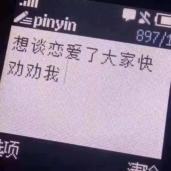 甜甜的恋爱不属于我 - 吃甜少女在恋爱综艺里恋爱海棠