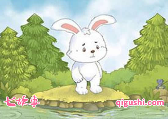 小白兔-不想当小白兔的小白兔
