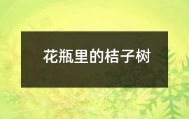 花瓶里的桔子树