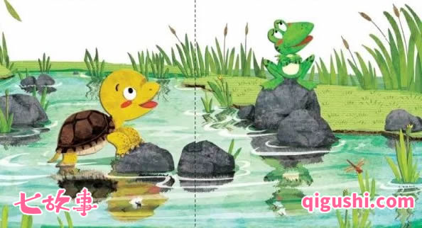乌龟-青蛙的乌龟朋友