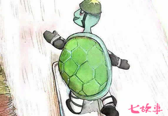乌龟-小乌龟急匆匆