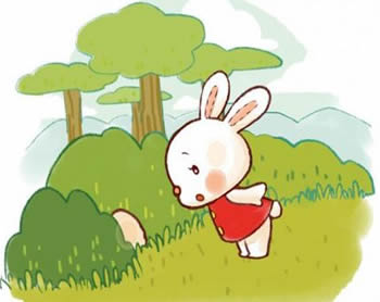 兔子-小兔子学本领