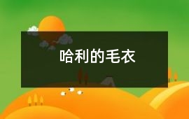 毛衣-哈利的毛衣