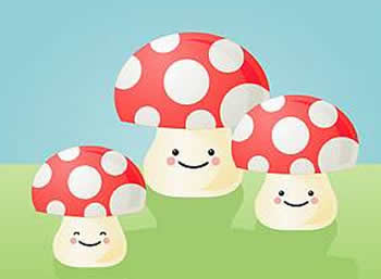 蘑菇-奇妙蘑菇