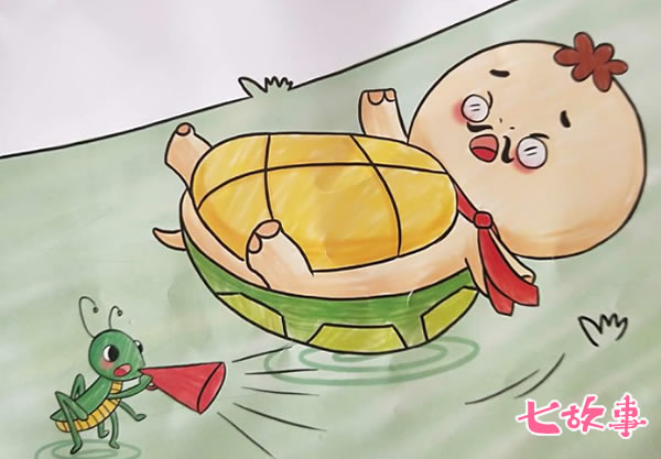 乌龟-送大乌龟回家