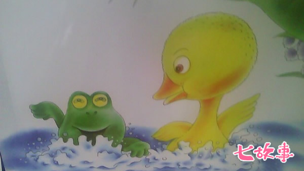 池塘-小鸭找朋友
