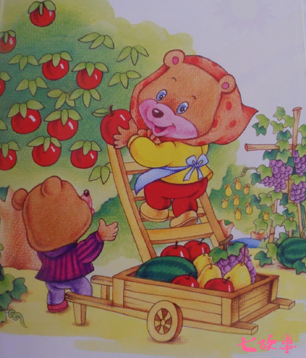 水果-熊妈妈的水果屋