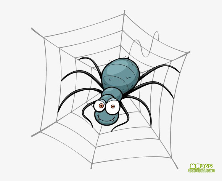 蜘蛛-蜘蛛的网