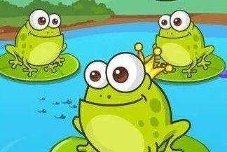 青蛙-小青蛙的防暑用品