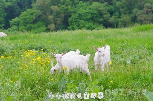 不能吃的菜