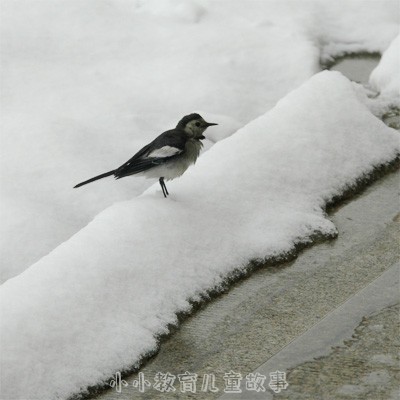 天寻-雪天寻盐