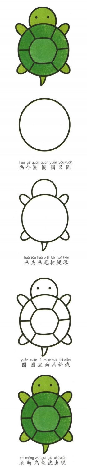三只小乌龟的故事简笔画图片、小熊简笔画