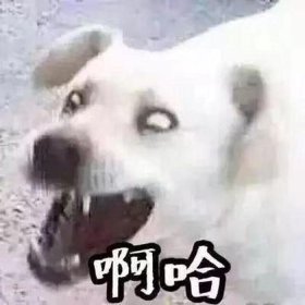 情侣哄睡小故事沙雕；可爱沙雕情侣头像一对