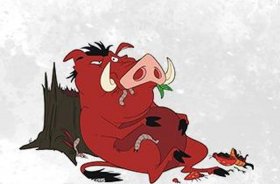 睡前故事大全集之三只野猪 - 野猪视频