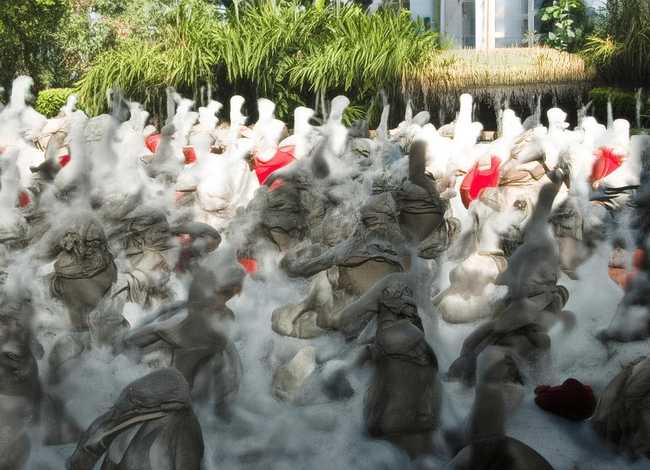 鹦鹉的故事 - 鹦鹉的故事读后感20个字