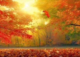 故事 秋天、故事 秋天是什么颜色