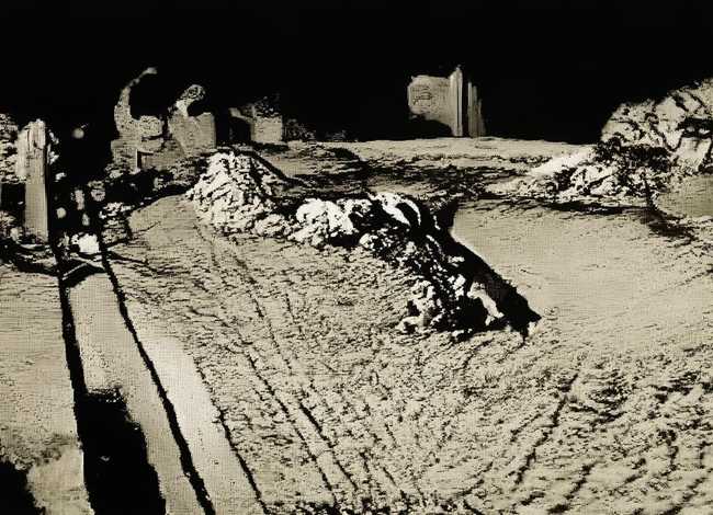 关于蟒蛇的故事 关于蟒蛇的故事有哪些