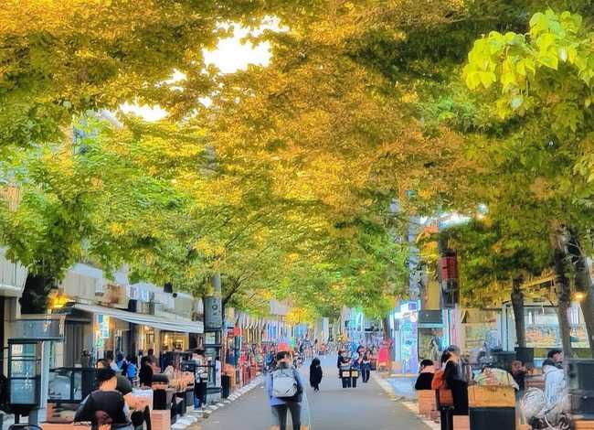 儿童故事大王比赛背景图片、幼儿园故事大王比赛背景图片