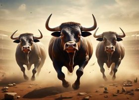 三只公牛的故事视频免费下载（三只公牛的故事视频免费下载观看）