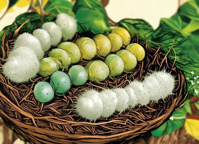 蚕宝宝绘本视频、蚕宝宝绘本视频大全 蚕宝宝绘本视频、蚕宝宝绘本视频大全