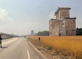 绘本故事小鲤鱼跳龙门纯音乐，绘本故事小鲤鱼跳龙门纯音乐视频