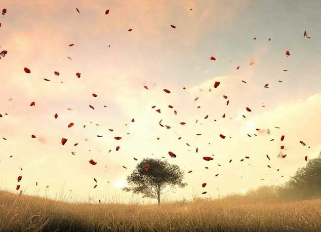 关于风的故事，关于风的故事词