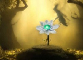 关于花的神话故事（关于花的神话故事的书）