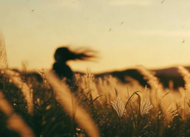 有关风的故事有哪些(有关风的故事有哪些成语) 有关风的故事有哪些(有关风的故事有哪些成语)
