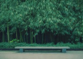 字谜故事简短20字（字谜故事简短20字加谜底）