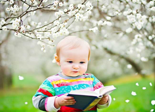 梅花儿童朗读,梅花儿童朗诵 梅花儿童朗读,梅花儿童朗诵