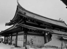 小木马的故事、小木马故事的读后感50字