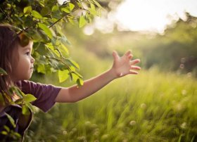 风的握手儿童故事 风的握手全文