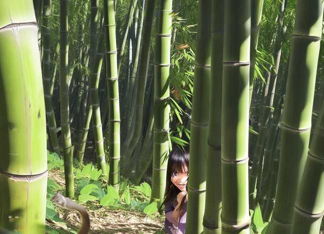 竹笋故事,关于竹笋的民间故事 竹笋故事,关于竹笋的民间故事