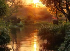 关于蜗牛的谜语，关于蜗牛的谜语30字