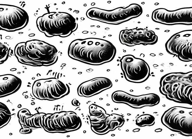 关于细菌的图片 - 关于细菌的图片大全 简笔画