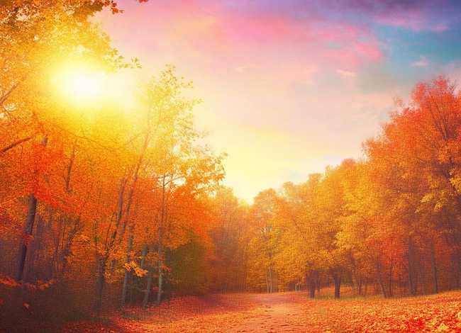 故事 秋天、故事 秋天是什么颜色 故事 秋天、故事 秋天是什么颜色