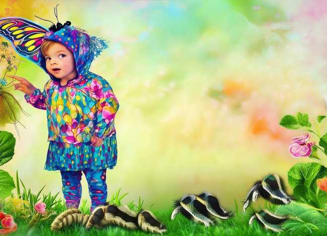 毛毛虫变蝴蝶故事、毛毛虫变蝴蝶故事幼儿园 毛毛虫变蝴蝶故事、毛毛虫变蝴蝶故事幼儿园