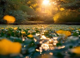 关于蜗牛的小故事（关于蜗牛的小故事简短）