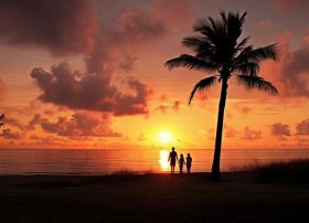 日出日落故事 日出日落故事电视剧全集