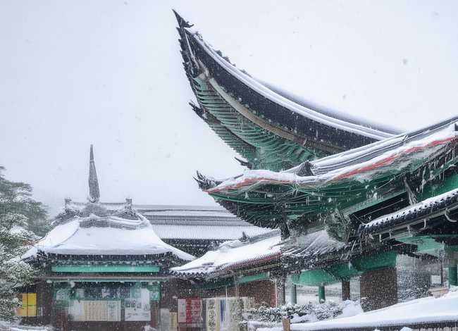 老狼的故事告诉我们什么道理;老狼的故事告诉我们什么道理20字 老狼的故事告诉我们什么道理;老狼的故事告诉我们什么道理20字