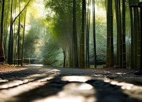 竹字的故事、竹字的故事由来