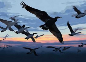 大雁的故事完整版 - 大雁的故事完整版在线观看