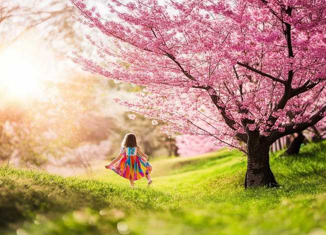 春天来了故事简短,春天来了故事简短20字 春天来了故事简短,春天来了故事简短20字