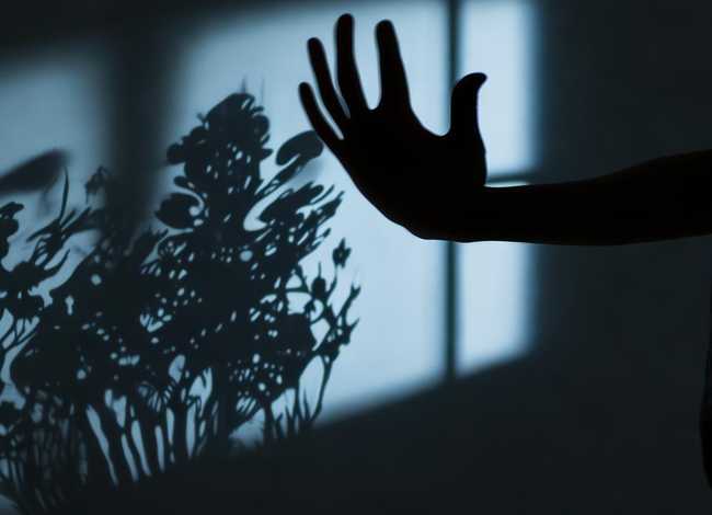 手影故事视频 - 手影故事表演视频 手影故事视频 - 手影故事表演视频