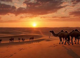 太阳的故事 有关太阳的故事